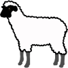 Weißes Schaf Silhouette auf Schwarz