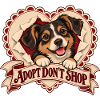 Adopt Don’t Shop Dog