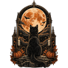 Schwarze Katze Vollmond Magie