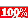 100% Genie – Kraftvoller Schriftzug