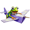Crazy Frosch-Pilot auf Papierflieger