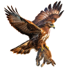 Steinadler