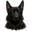 Schwarzer Schäferhund Kopfdesign