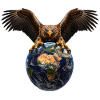 Seeadler Adler Eagle