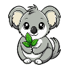 Baby-Koala