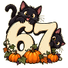 67 Katzenchaos
