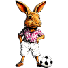 Hasen Fussball / Kaninchen Fussballer