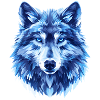 Blauer Wolf – Eisblauer Blick
