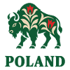 Polnische Bison-Volkskunst Polen Souvenir