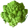 Romanesco-Brokkolifraktal