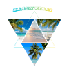 Beach vibes Palmen
