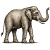 GEEKLEY – Bestiarium – Elefant