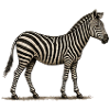 GEEKLEY – Bestiarium – Zebra