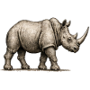 GEEKLEY – Bestiarium – Nashorn