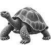 GEEKLEY – Bestiarium – Schildkröte