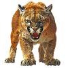 Panther
