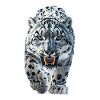 Schneeleopard