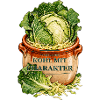 Kohl mit Charakter - Fermentation Design