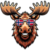 Norwegen Fanartikel
