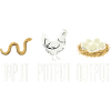 Input Putput Output Huhn