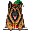 Weihnachten Tervueren Belgischer Schäferhund