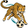 Gepard mit Fußball – Dynamisches Sportmotiv