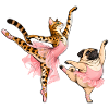 Bengal-Katze und Mops beim Ballett
