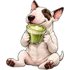 Bull Terrier mit Matcha Latte