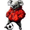 Fussball Koalas