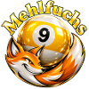 9Ball Billard Mehlfuchs 