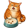 Futternapf-Drama – Empörte orange Katze