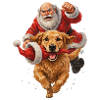 Golden Retriever klaut Weihnachtsmannmütze