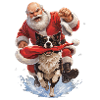 Border Collie klaut Weihnachtsmannmütze