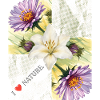 Nature_-4500_x_5400_px-