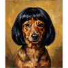 Lustiger Hund Dackel Bob Haarschnitt