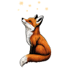 Fuchs Sterne