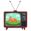 Retro Fernseher mit schlafendem Hasen