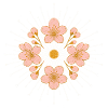 Eclipse Bloom  Boho Sunburst T-shirt