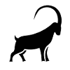 Steinbock -Silhouette mit kräftigen Linien
