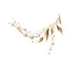 Pearl Elegance – Gold & Pearls