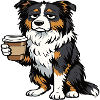 Australian Shepherd Aussie Aussiebesitzer Aussies