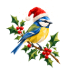 Weihnachtliche Blaumeise auf Stechpalme