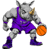Basketball Nashorn Rhino