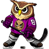 Eulen Eishockey