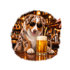 Australian Shepherd Trinken – Aussie Hundeliebhaber