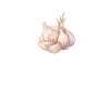 Knoblauch Herzschlag Design