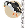 Ninja Puffin