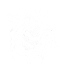 Schaf Kopf Linienkunst