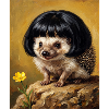 Lustiger Igel Bob Haarschnitt