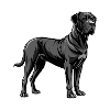 Englischer Mastiffhund stehend